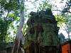 Ta Prohm